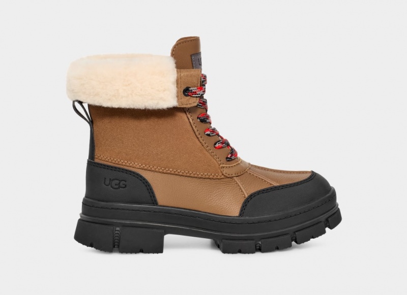 Kozaki Damskie Ugg Ashton Addie Brązowe | BVR-568419