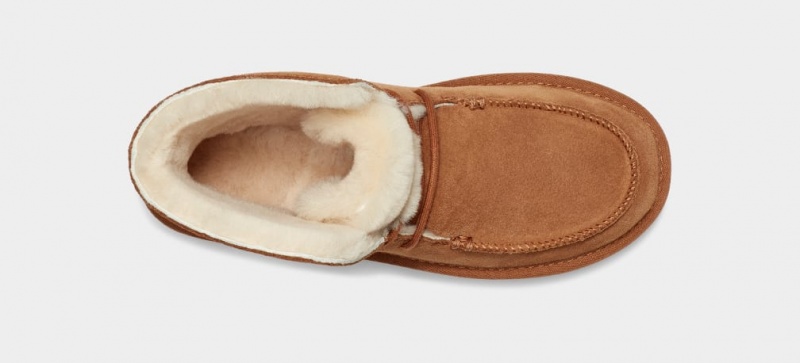 Kozaki Damskie Ugg Diara Brązowe | ZXK-904176