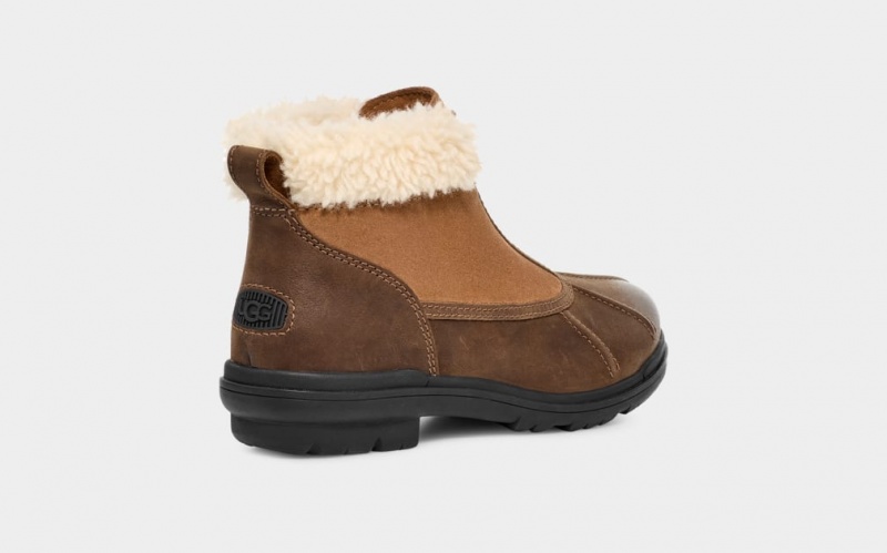 Kozaki Damskie Ugg Hapsburg Zip Brązowe | ZBG-487635