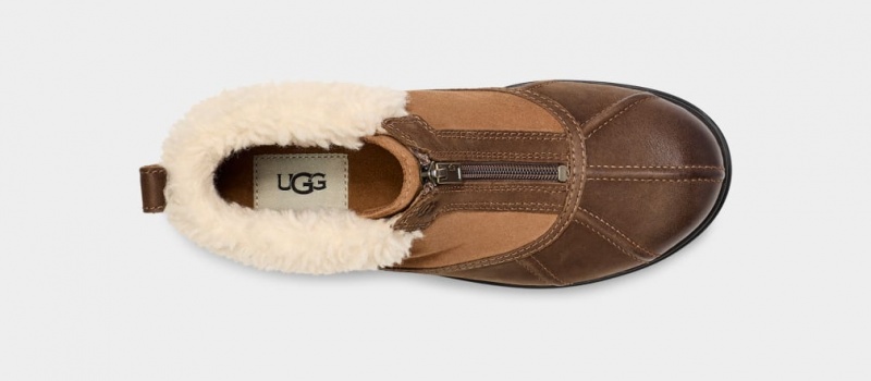 Kozaki Damskie Ugg Hapsburg Zip Brązowe | ZBG-487635