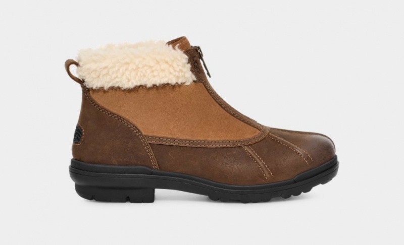 Kozaki Damskie Ugg Hapsburg Zip Brązowe | ZBG-487635