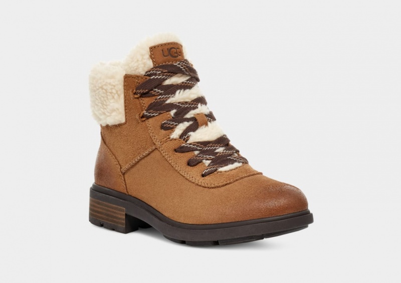 Kozaki Damskie Ugg Harrison Cozy Koronkowe Brązowe | WDO-015487