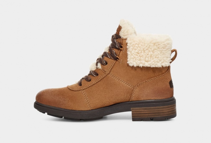 Kozaki Damskie Ugg Harrison Cozy Koronkowe Brązowe | WDO-015487