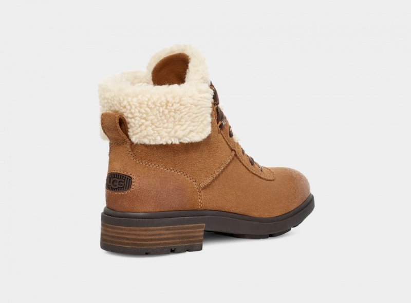 Kozaki Damskie Ugg Harrison Cozy Koronkowe Brązowe | WDO-015487