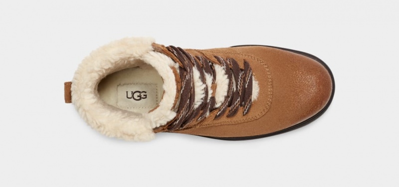 Kozaki Damskie Ugg Harrison Cozy Koronkowe Brązowe | WDO-015487