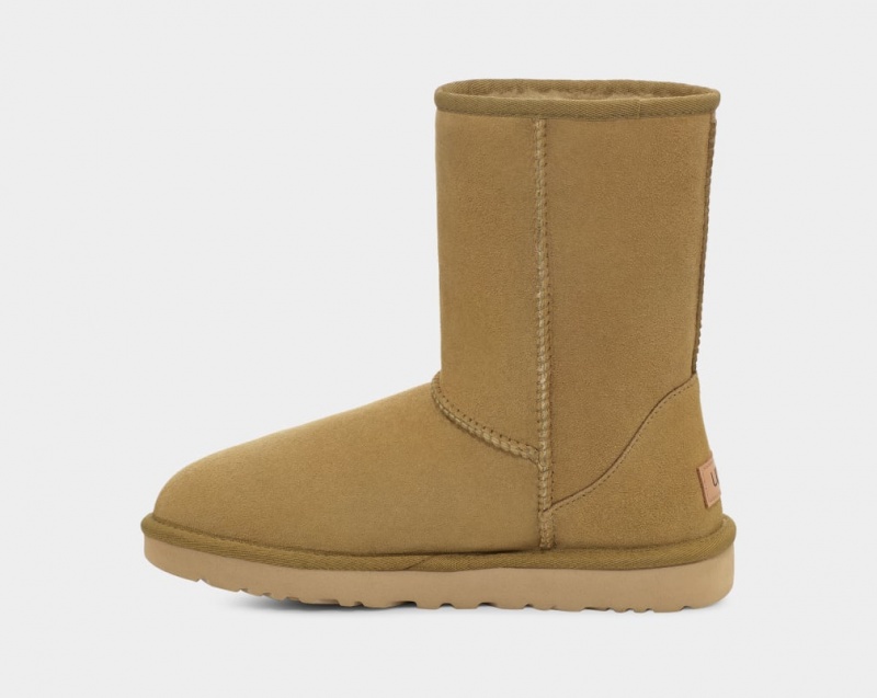 Kozaki Damskie Ugg Klasyczne II Brązowe | FJV-940167