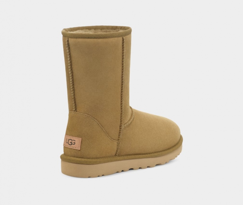 Kozaki Damskie Ugg Klasyczne II Brązowe | FJV-940167