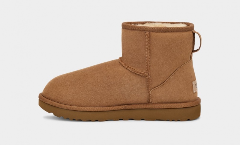 Kozaki Damskie Ugg Klasyczne Mini II Brązowe | NSW-370152