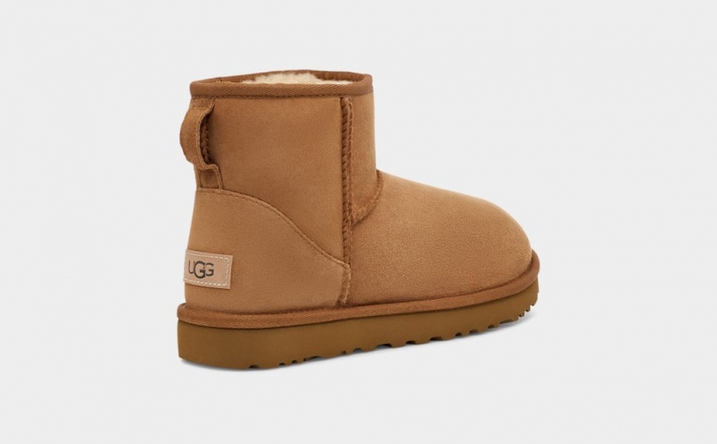 Kozaki Damskie Ugg Klasyczne Mini II Brązowe | NSW-370152