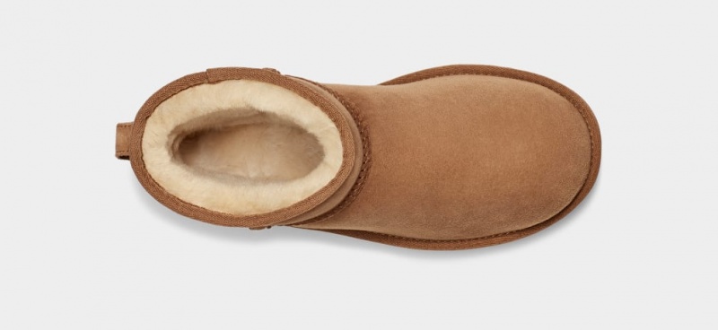 Kozaki Damskie Ugg Klasyczne Mini II Brązowe | NSW-370152