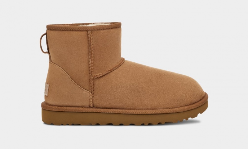 Kozaki Damskie Ugg Klasyczne Mini II Brązowe | NSW-370152