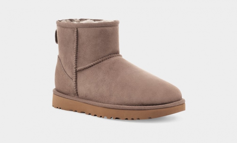 Kozaki Damskie Ugg Klasyczne Mini II Brązowe | WQI-627543