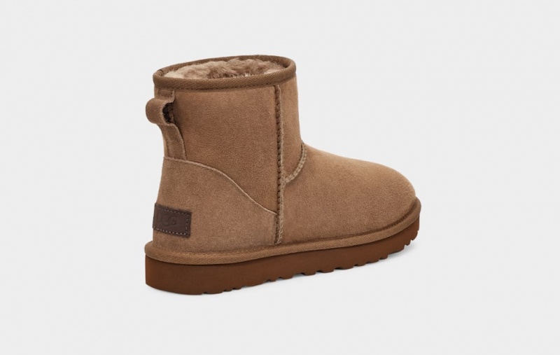 Kozaki Damskie Ugg Klasyczne Mini II Brązowe | MHB-983605