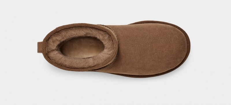 Kozaki Damskie Ugg Klasyczne Mini II Brązowe | MHB-983605