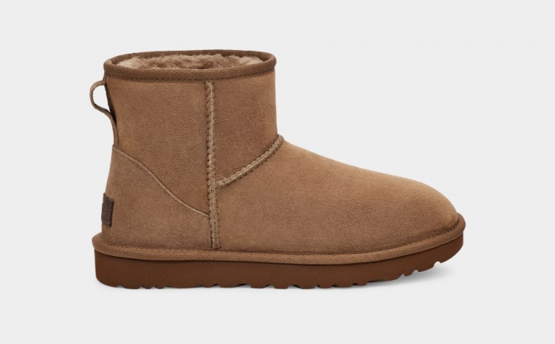 Kozaki Damskie Ugg Klasyczne Mini II Brązowe | MHB-983605