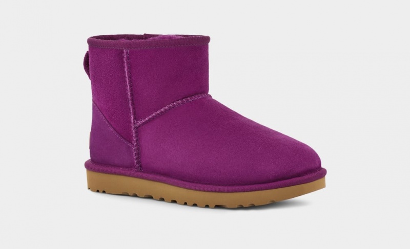 Kozaki Damskie Ugg Klasyczne Mini II Fioletowe | PFW-706194