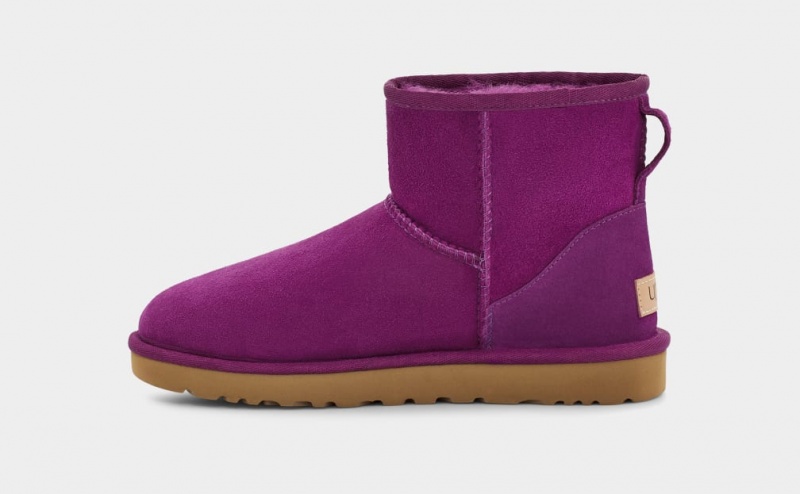 Kozaki Damskie Ugg Klasyczne Mini II Fioletowe | PFW-706194