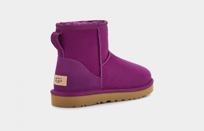 Kozaki Damskie Ugg Klasyczne Mini II Fioletowe | PFW-706194