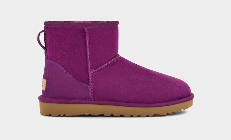 Kozaki Damskie Ugg Klasyczne Mini II Fioletowe | PFW-706194