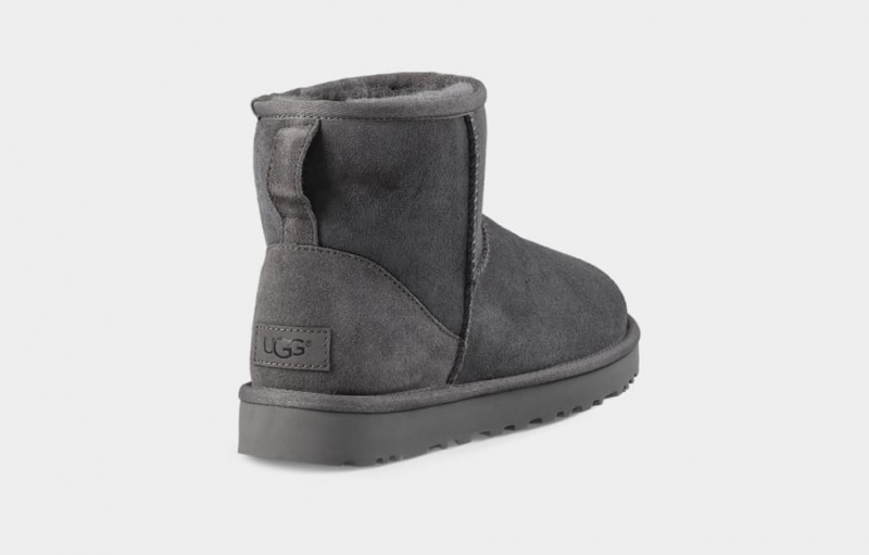 Kozaki Damskie Ugg Klasyczne Mini II Szare | IOV-159036