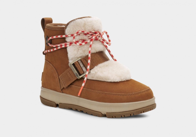 Kozaki Damskie Ugg Klasyczne Weather Hiker Brązowe | WIP-465138