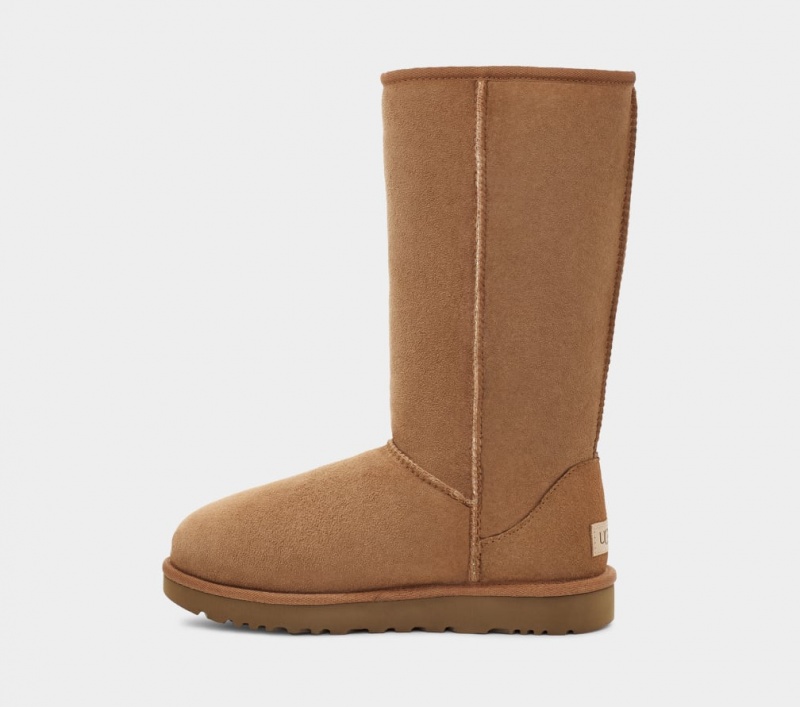 Kozaki Damskie Ugg Klasyczne Wysokie II Brązowe | MLX-872501