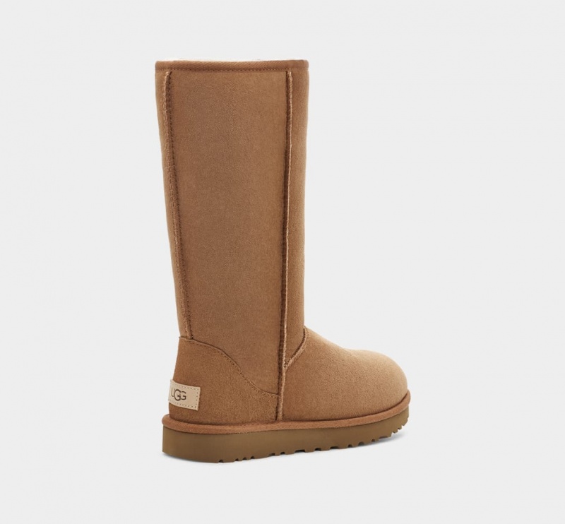 Kozaki Damskie Ugg Klasyczne Wysokie II Brązowe | MLX-872501