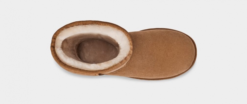 Kozaki Damskie Ugg Klasyczne Wysokie II Brązowe | MLX-872501