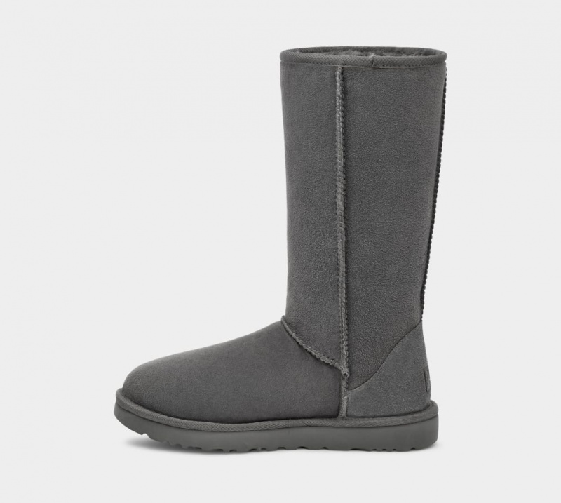 Kozaki Damskie Ugg Klasyczne Wysokie II Szare | TXN-704382