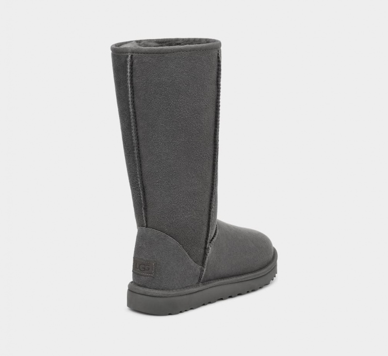 Kozaki Damskie Ugg Klasyczne Wysokie II Szare | TXN-704382