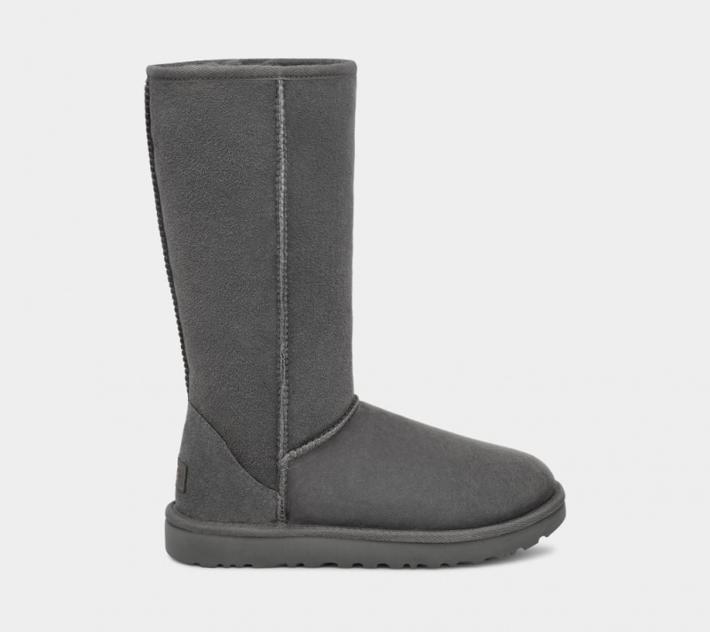 Kozaki Damskie Ugg Klasyczne Wysokie II Szare | TXN-704382