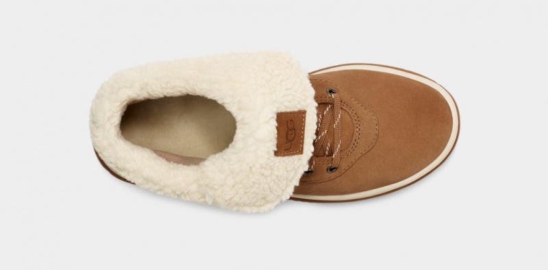 Kozaki Damskie Ugg Lakesider Mid Koronkowe Up Brązowe | SMR-412573