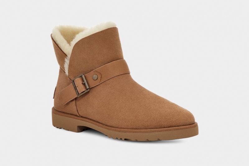 Kozaki Damskie Ugg Romely Klamry Brązowe | ZDL-891423