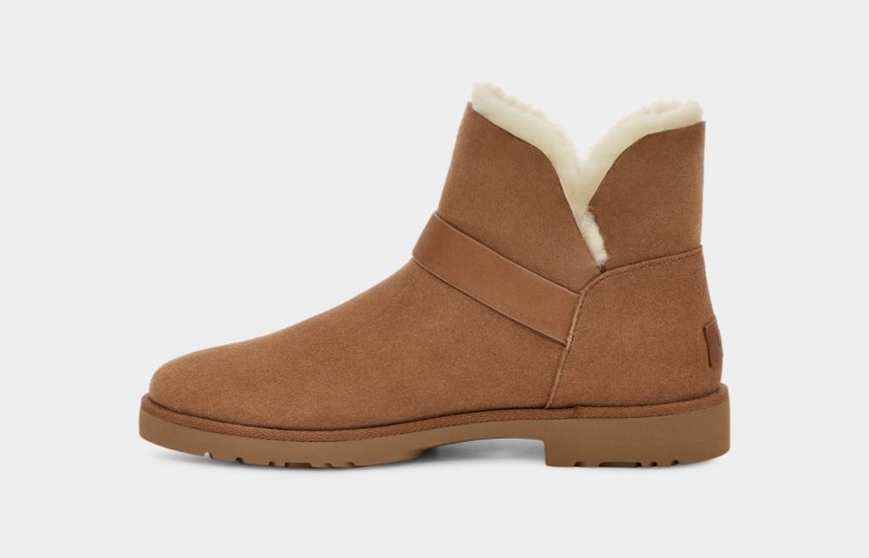 Kozaki Damskie Ugg Romely Klamry Brązowe | ZDL-891423