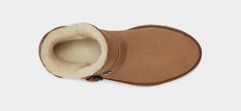 Kozaki Damskie Ugg Romely Klamry Brązowe | ZDL-891423