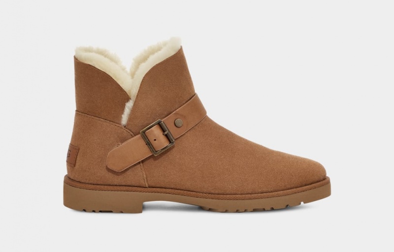 Kozaki Damskie Ugg Romely Klamry Brązowe | ZDL-891423