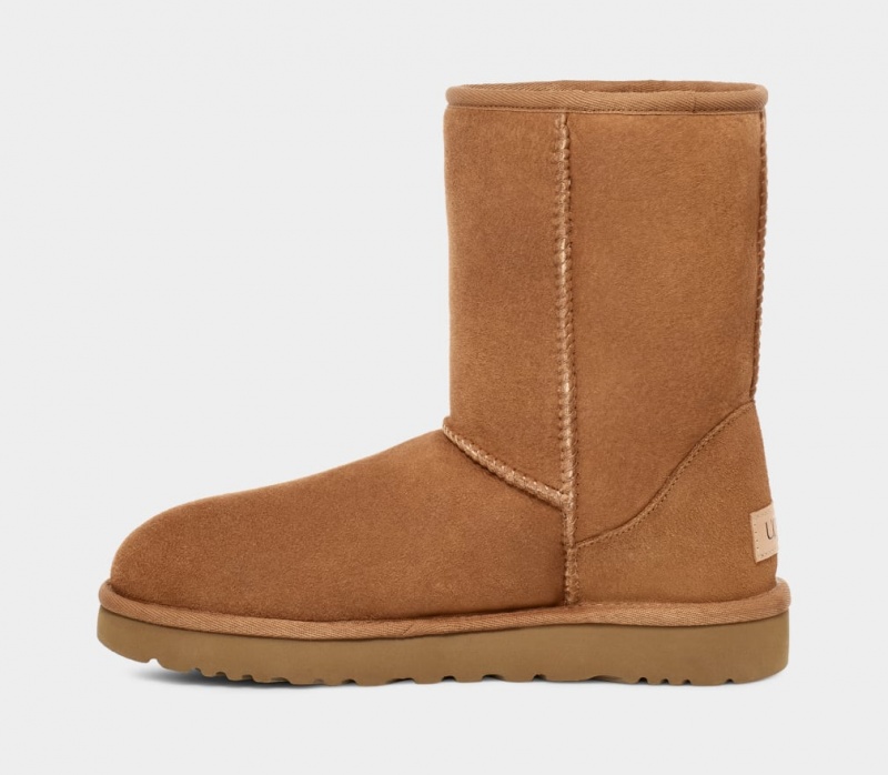 Kozaki Męskie Ugg Klasyczne Brązowe | QZW-816325