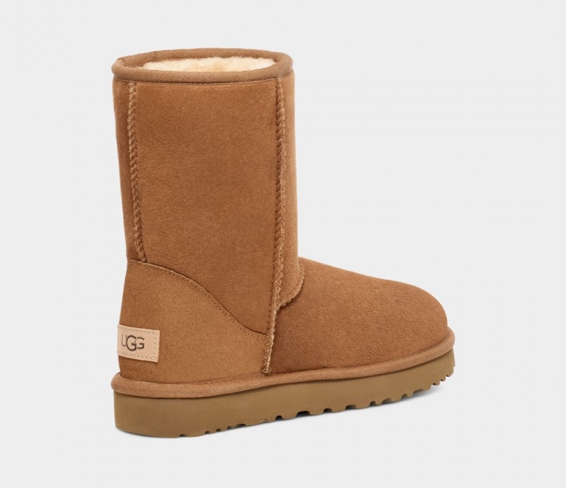 Kozaki Męskie Ugg Klasyczne Brązowe | QZW-816325