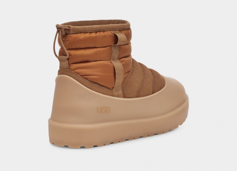 Kozaki Męskie Ugg Klasyczne Mini Pull-On Weather Brązowe | UES-864359