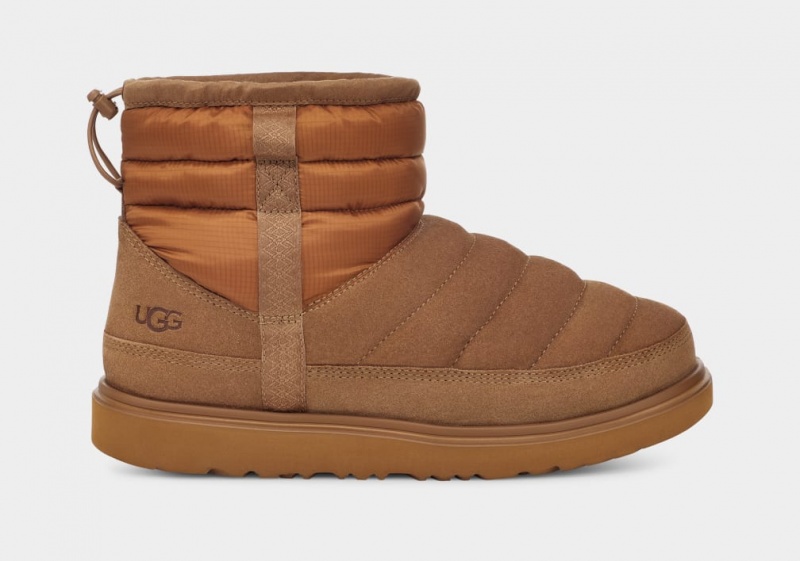 Kozaki Męskie Ugg Klasyczne Mini Pull-On Weather Brązowe | UES-864359