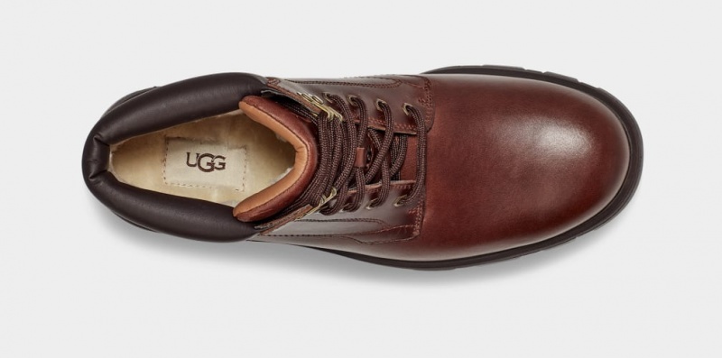 Kozaki Męskie Ugg Stenton Brązowe | LAG-681574