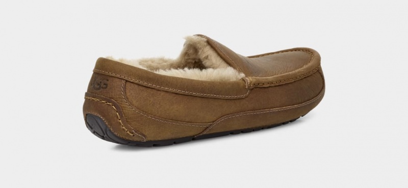 Mokasyny Męskie Ugg Ascot Matte Skórzane Brązowe | SMK-092465