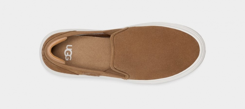 Slip On Damskie Ugg Alameda Zamszowe Brązowe | WQC-813457