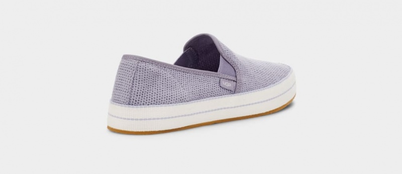 Slip On Damskie Ugg Bren Fioletowe | CRV-518790