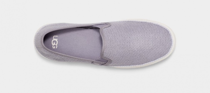 Slip On Damskie Ugg Bren Fioletowe | CRV-518790