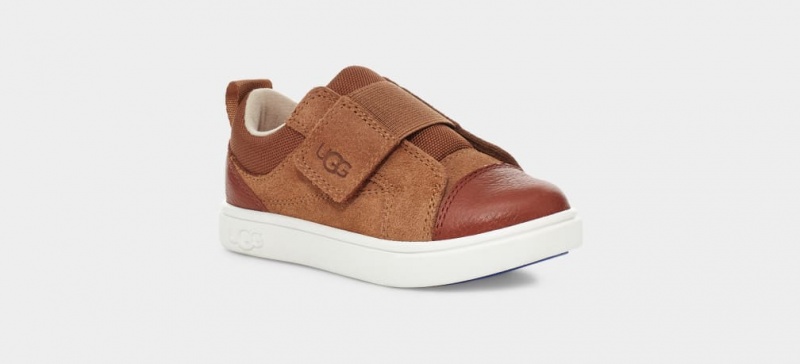 Trampki Dziecięce Ugg Rennon Low Brązowe | PCV-267938