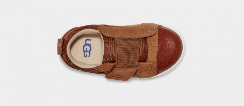 Trampki Dziecięce Ugg Rennon Low Brązowe | SNZ-472806