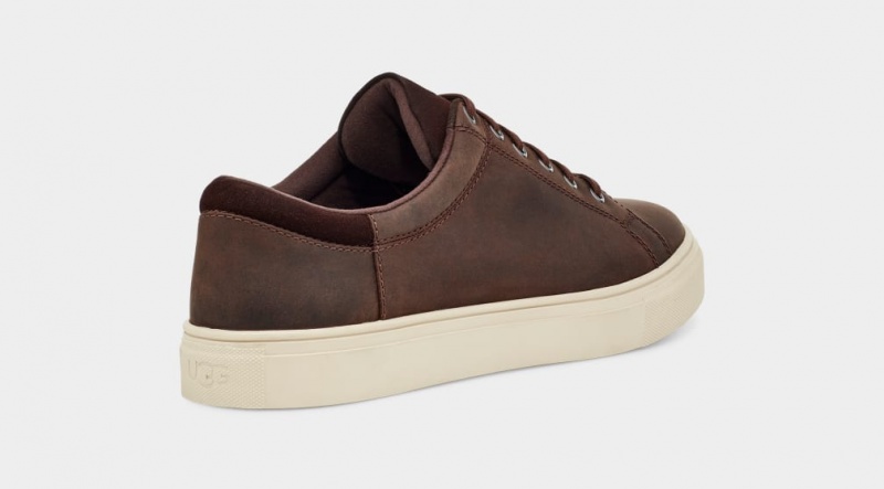 Trampki Męskie Ugg Baysider Low Weather Brązowe | AUS-280314